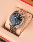 Omega Seamaster Aqua Terra 220.10.41.21.03.001