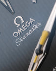 Omega Seamaster Aqua Terra 2025 full set 231.10.42.21.01.002