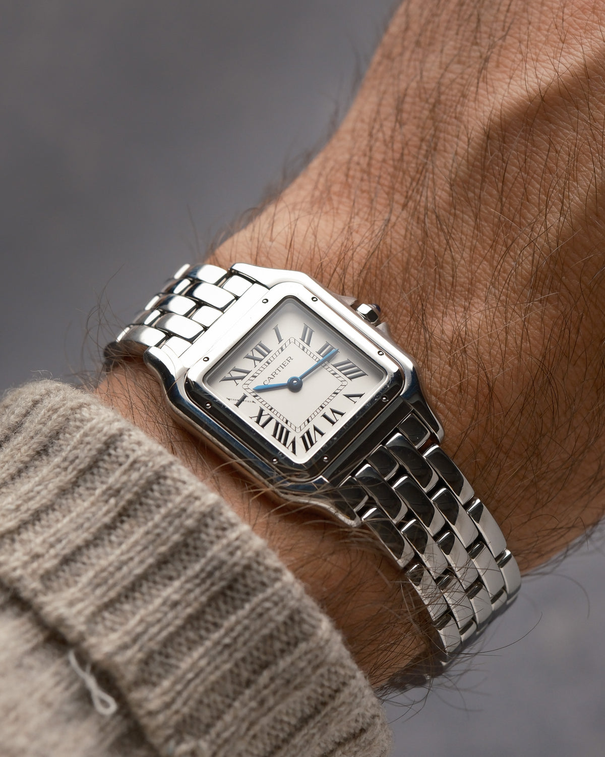 Cartier Panthère