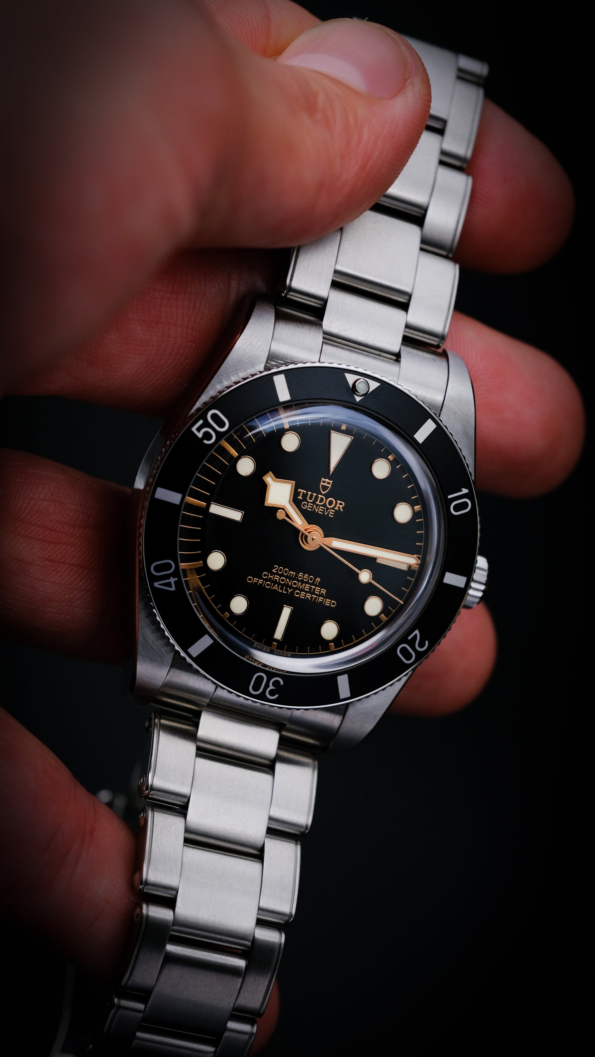 Tudor Black Bay 54 M79000N-0001