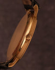 Patek Philippe Calatrava Clous de Paris Ref. 3744 - Unpolished & Rare Tropical Dial
