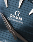 Omega Seamaster Aqua Terra 41mm Blue Dial Steel 220.10.41.21.03.004 (2022)