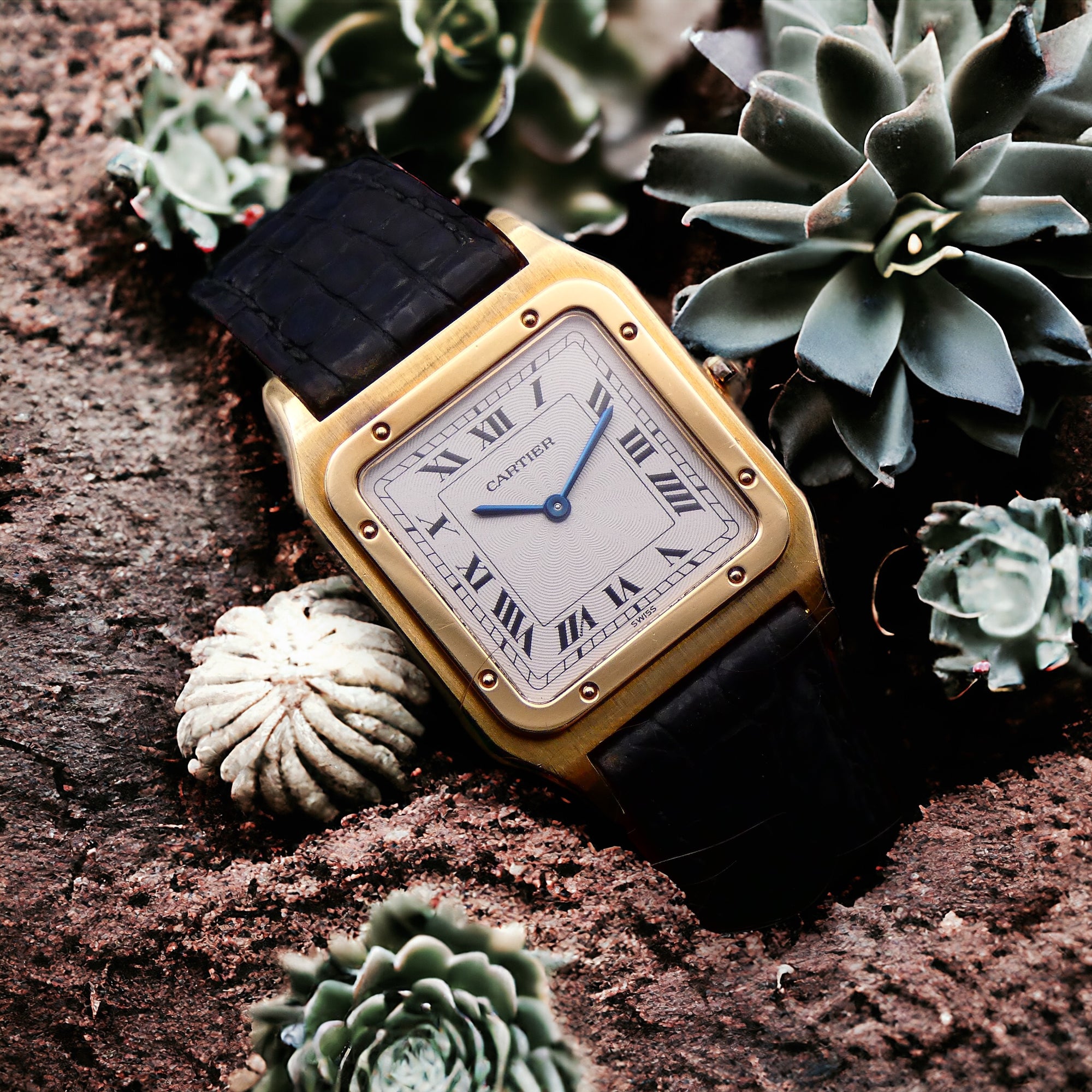 Cartier Santos Dumont 8210